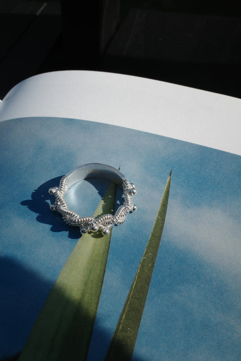 Encircling Vortex · Concentric Ring