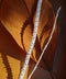 Stream Weave · Braided Bracelet